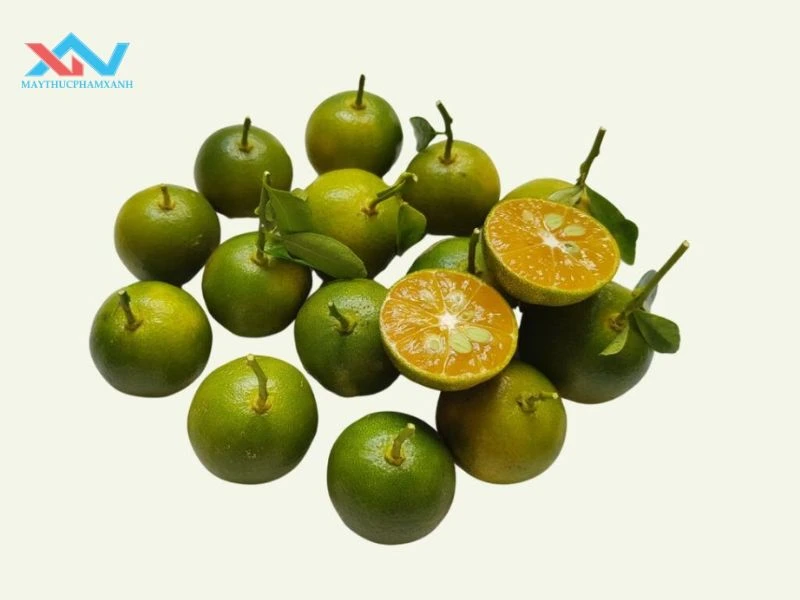 Tắc ( quất ) 