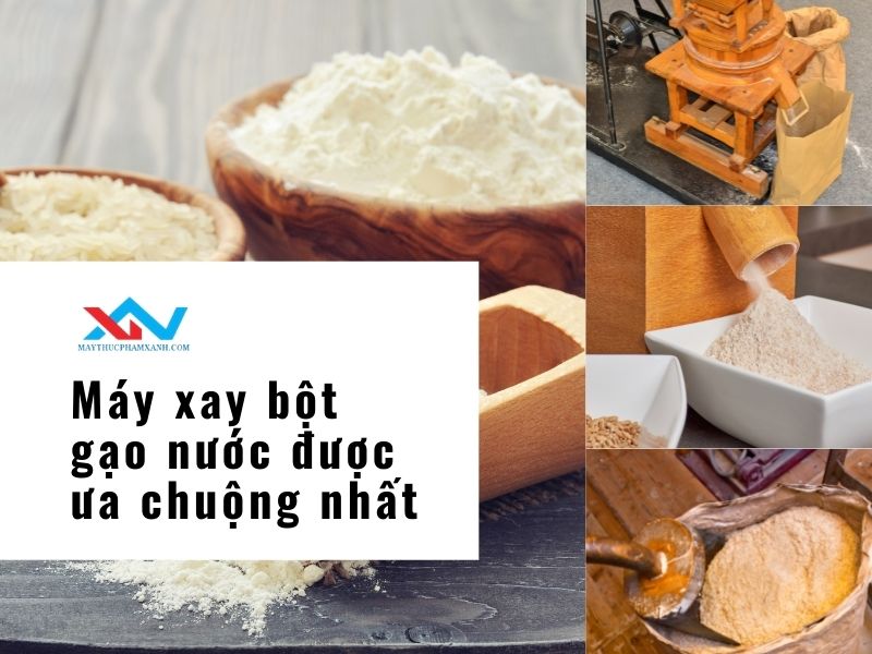 Top 3 máy xay bột gạo nước được ưa chuộng nhất
