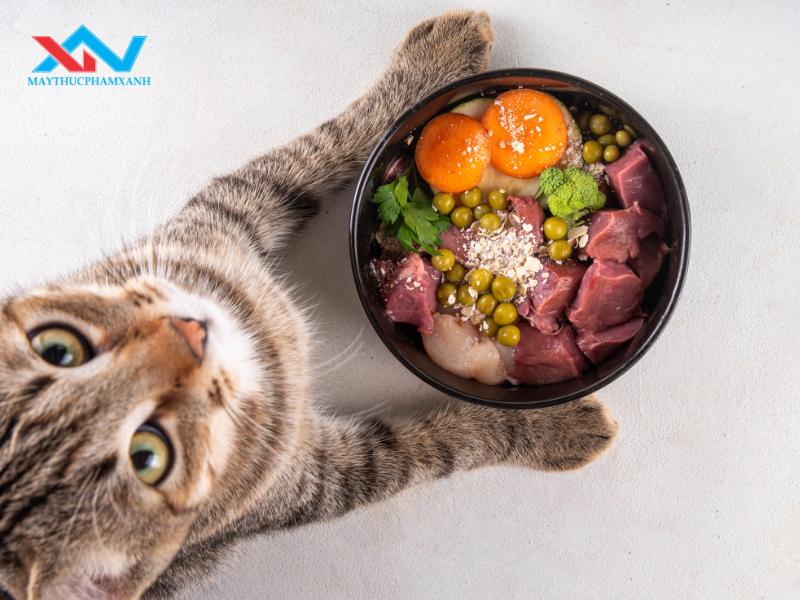#Ứng Dụng Máy Trộn Thực Phẩm Nằm Ngang Làm Thức Ăn Thú Cưng